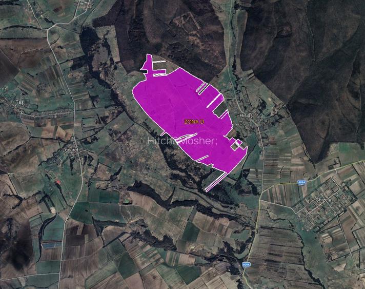 De vanzare plantatie de alun, pe rod, situata in judetele Arad si Timis - 2