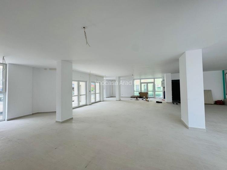 Spatiu comercial de inchiriat Micalaca, Vad Intens disponibil 03.2025 - 2