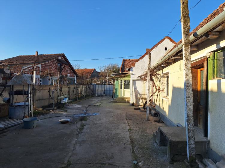 Casa cu teren 5000mp în Sacadat - 3