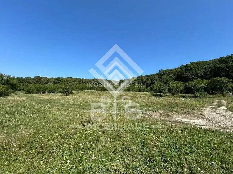 Teren Extravilan - 10'000 Mp - Valea Budacului (Bistrita) - 3