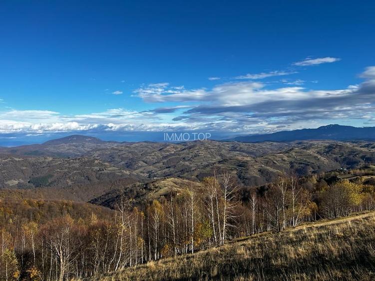 Teren extravilan 2ha, priveliste panoramica spre munti /Poiana Marului - 10