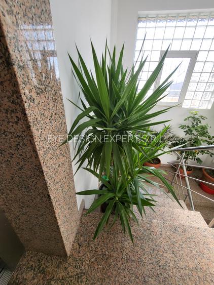 Vanzare  apartament 4 camere bucuresti noi damaroaia - 4