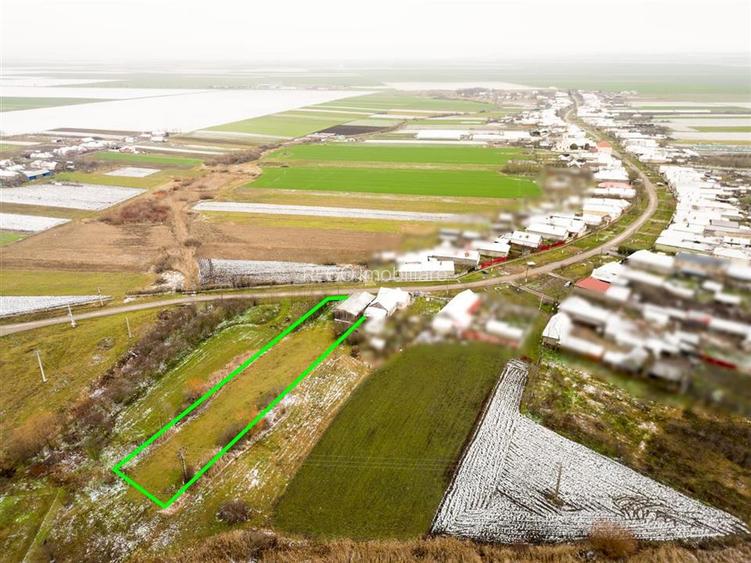 RECO . Teren intravilan cu hala metalica in Roit . - 4
