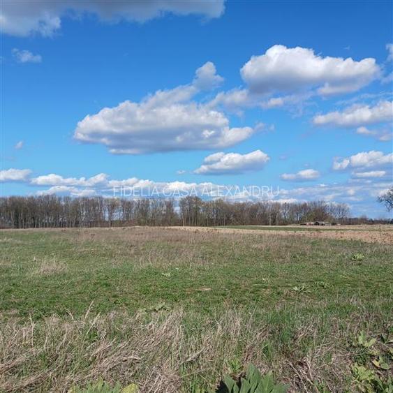 Teren pentru constructii case  de vanzare Iasi, Poiana cu Cetate, - 3