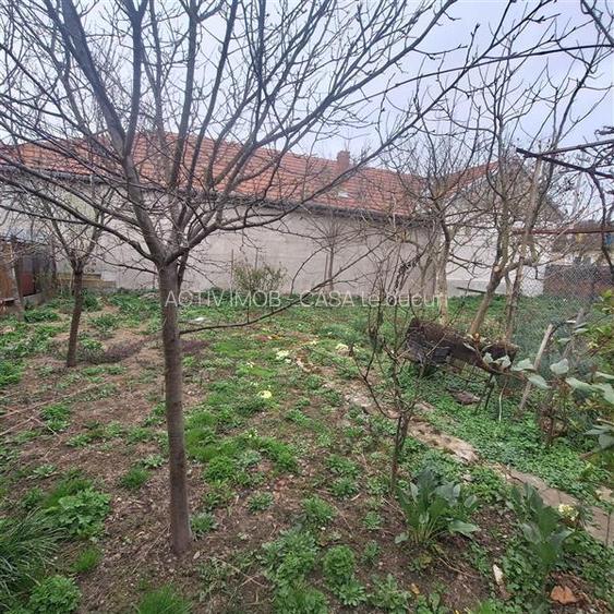 Bocsa Vasiova, Casa cocheta pentru familie, cu Gradina. - 29