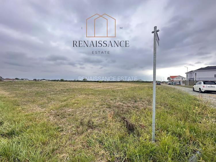 Mosnita Noua Teren 10.000mp | Front 63m | La asfalt - Zona de Case - 6