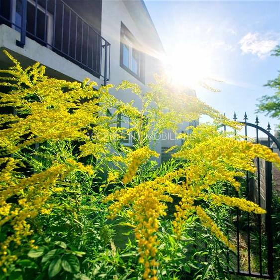 Constructie noua, curte individuala, terasa, toate utilitatile, Izvor-Tarlungeni - 2