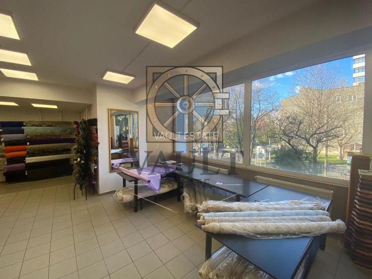 SPATIU STRADAL 567 MP - VAD COMERCIAL - PACHE PROTOPOPESCU - 11