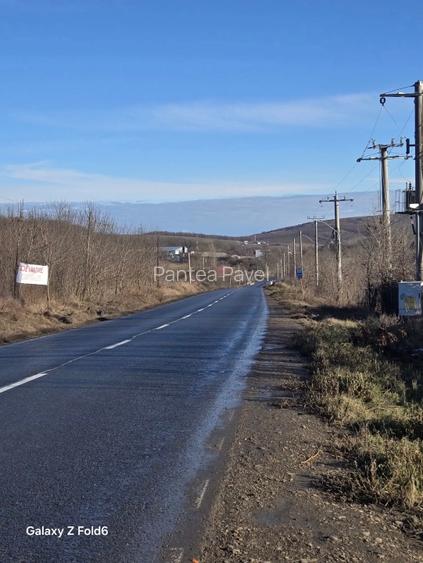 Vânzare teren Poieni Iasi 15.000 mp sau parcelat - 4