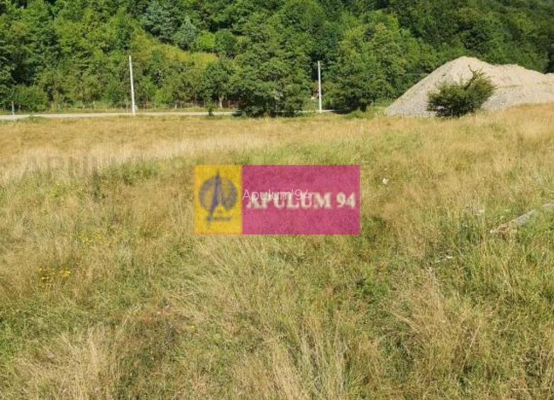 Teren Județul Vâlcea - Brezoi, Valea lui Stan - 31