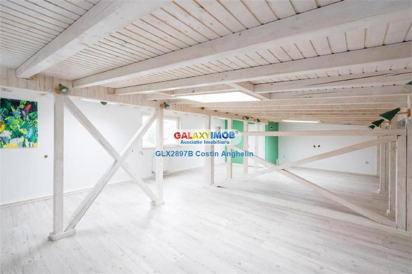 Vila Lux 5 Camere - Romana - 12