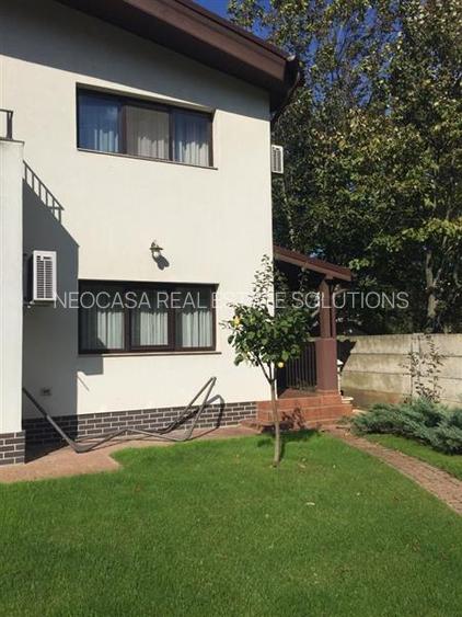 TEISANI - VILA SUPERBA LANGA PADURE, 2007, P+M, TEREN 550 MP! - 15