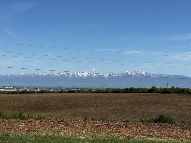 Parcele teren pentru cabane - sat Rusciori 567 mp - direct de la proprietar! - 2