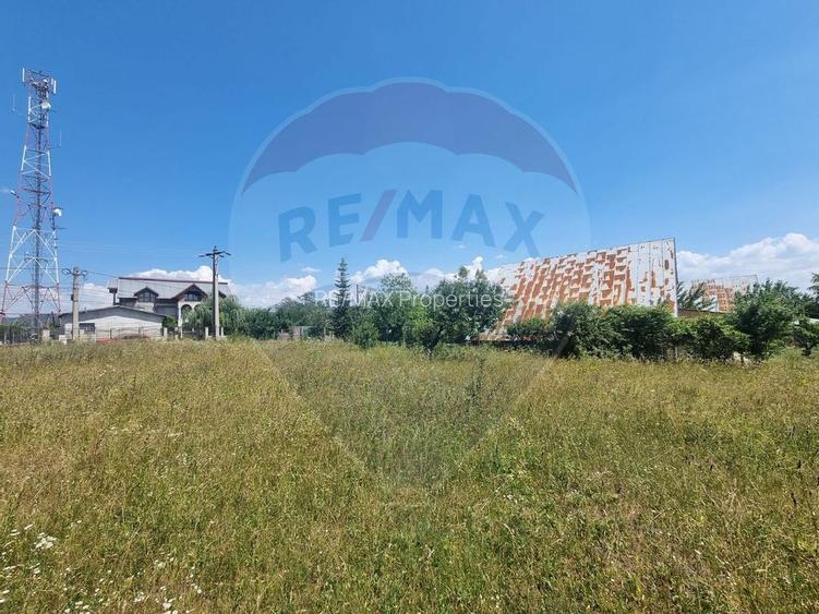 Teren intravilan 11.500 mp – Strada Cismari Vălenii de Munte - 3