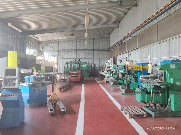 Hala de vanzare in Magurele - acces rapid si infrastructura moderna - 4