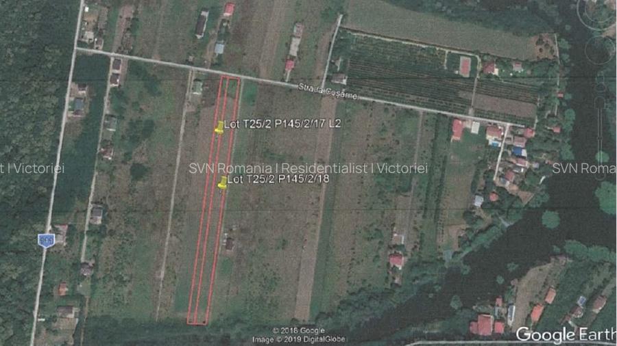 REL4001152 Teren Intravilan 10.000 mp Silistea Snagovului de Vanzare - 5