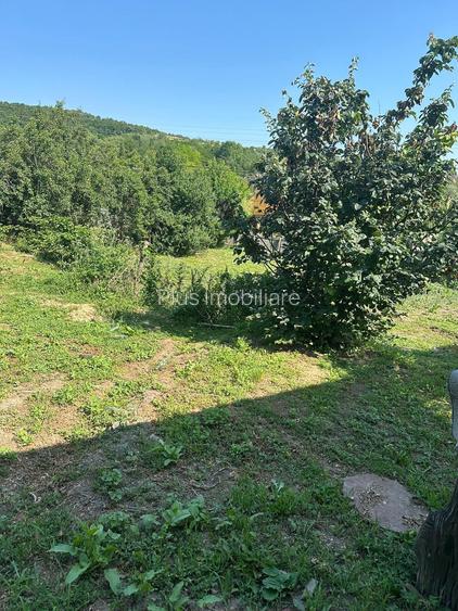 Casă cu teren de 5.700 mp, Pădureni,se accepta si schimb cu apt in Iasi - 18