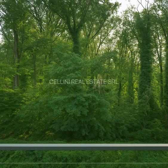 Vand vila p+1+m,  Baneasa, la liziera pădurii Băneasa - 4