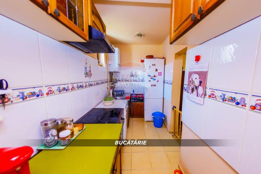 Casă P+1 din cărămidă, 683 mp teren, 4 garaje – Strada Zorilor - 3