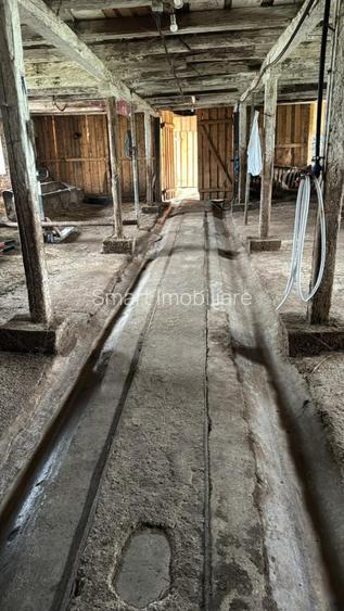 Spatiu industrial 5 camere zona Bradu - Sibiu - 4