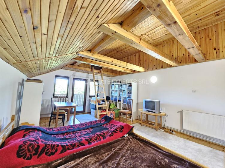 Vila superba de vanzare in Vintila Voda, Buzau D+P+1 si anexe - 30