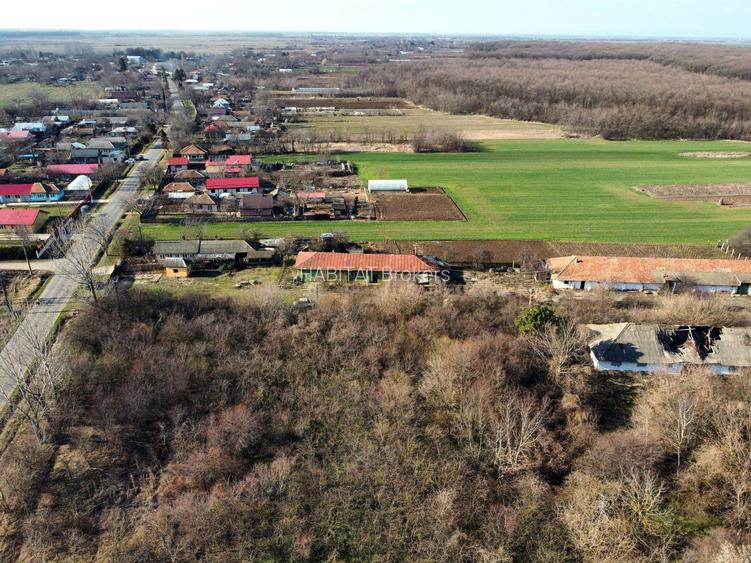 Ferma si livada de meri in judetul Ilfov - 24