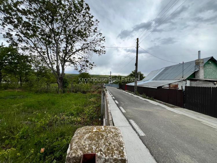 Casa + teren 4430 mp, vie si pomi fructiferi, 22 km de Tecuci - 5