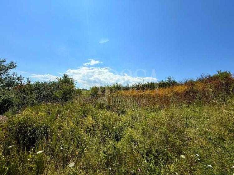 Teren intravilan pentru constructii de vanzare in Chinteni - 2