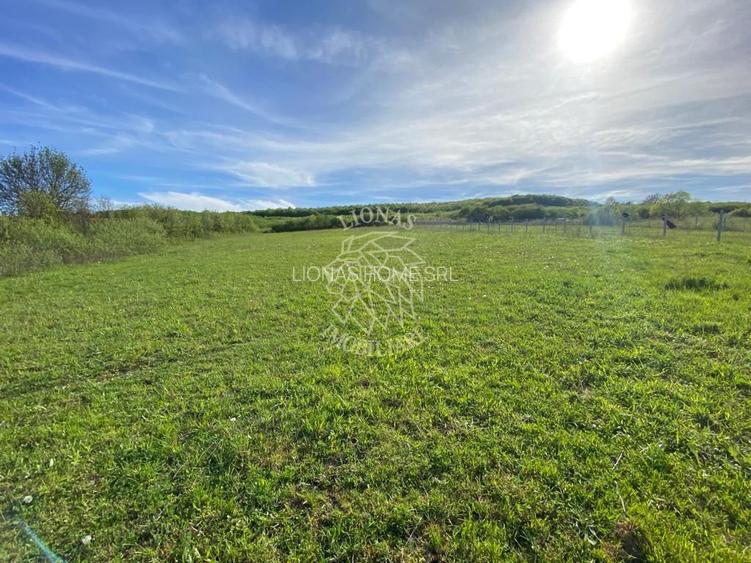 Teren 2160 mp - pretabil pentru cabana - investitie - Jelna - 8