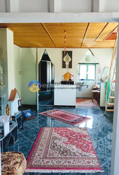 CASA comuna ALEXANDRU CEL BUN - VADURELE - 3