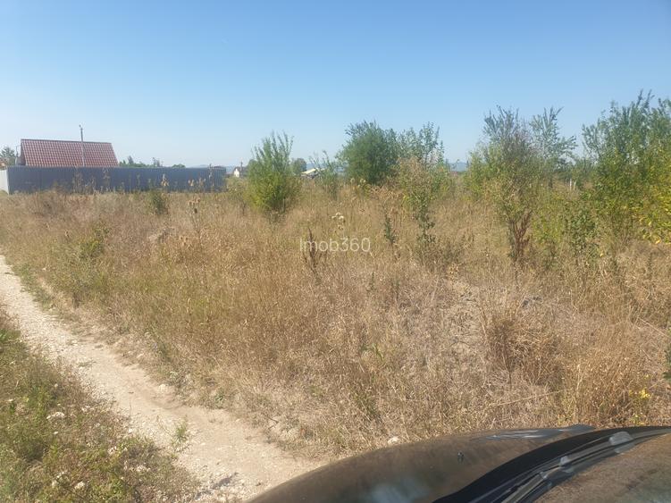 Teren Sanpetru intravilan acces din DJ - 3