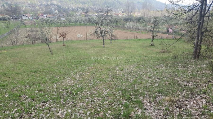 OPORTUNITATE UNICĂ ÎN TOMȘANI (LÂNGĂ HOREZU) – ANSAMBLU TERENURI 9.364 MP - 6