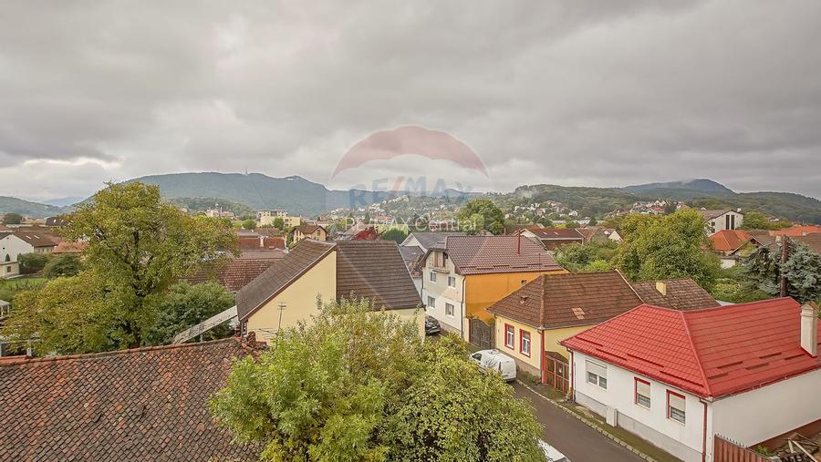 CENTRAL - Vila  DE INCHIRIAT  - pretabila diverse businessuri - 29