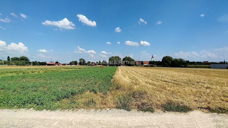 Teren Intravilan - 5