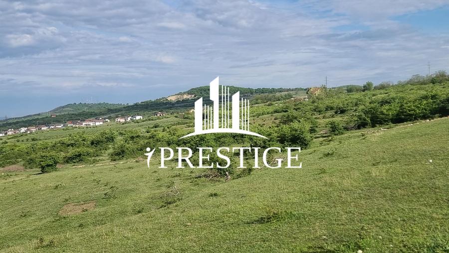 TEREN  EXTRAVILAN 2000 MP ÎN DAIA - BAVARIA | DEALUL 2 | DOAR 15€/MP - 13