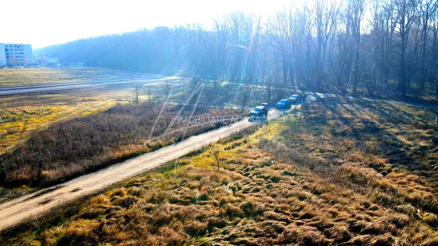 Teren intravilan, 2 fronturi, Drumul Padurea Pustnicu 65 - Greenfield - 24