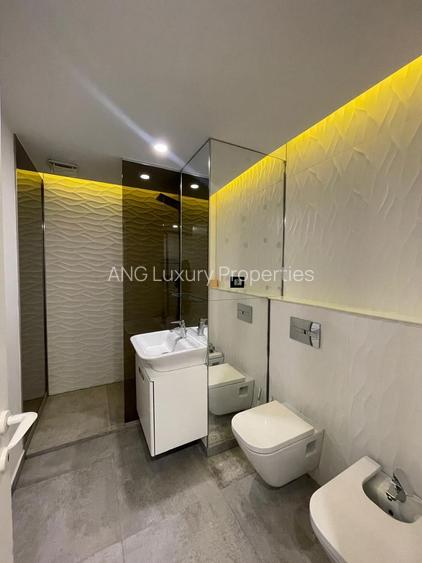 INCHIRIERE DOUA CAMERE CORTINA RESIDENCE HERASTRAU BANEASA - 12