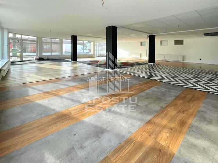 Spatiu Comercia/ Showroom 200mp util+curte720mp/GRADISTE - 5