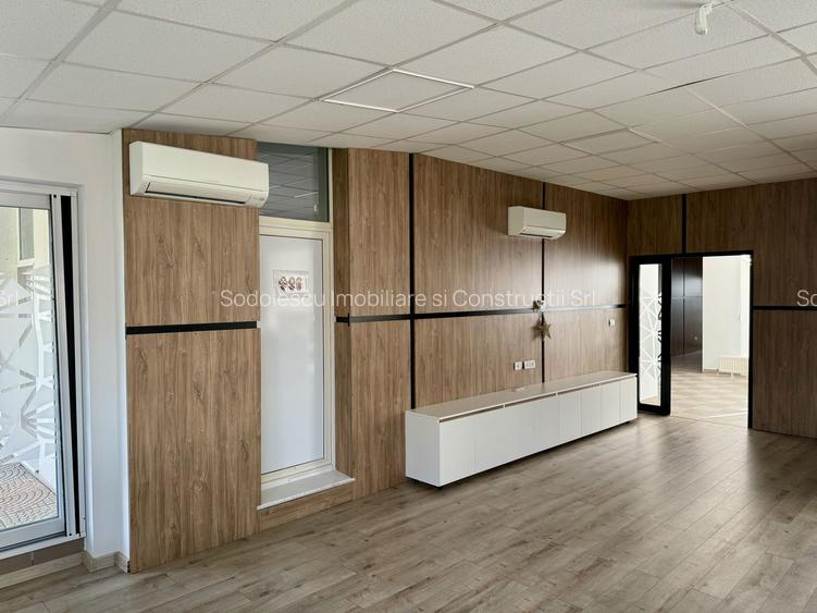 Clădire SAD de închiriat, situată la intrarea în Dumbrăvița - 8