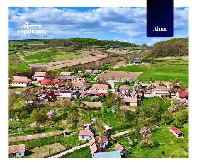 Teren Intravilan cu cabana  in satul transilvanean Alma - 13