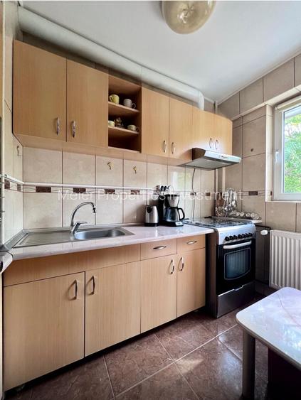 Garsoniera Titan | Parcul Constantin Brancusi - 9