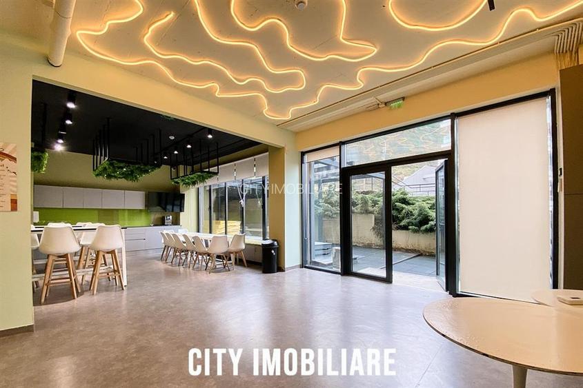 Spatiu comercial 250 mp + terasa 70 mp, Grigorescu, Parter, Ideal HoReCa   Showr - 4