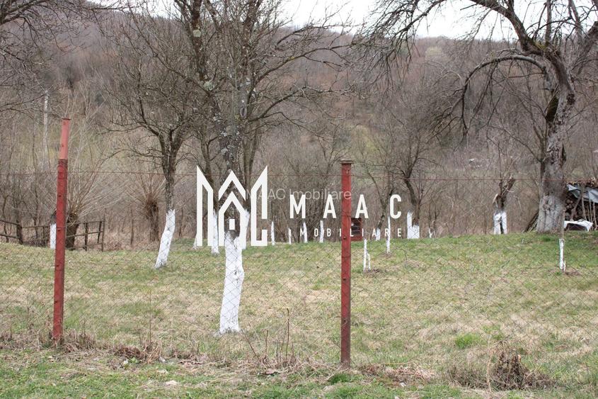 Pământ I Fereastră către Eternitate în  Transilvania - 15