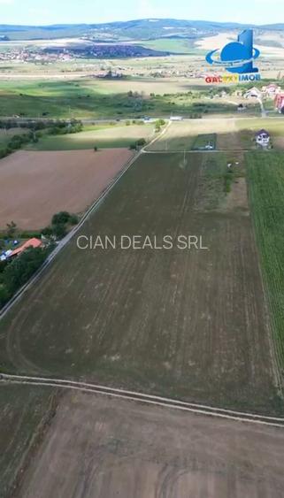 Teren De Vanzare Feldioara Utilitati In Apropiere - 3