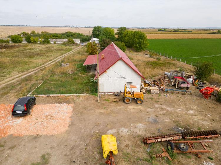 Teren intravilan cu iazuri și casă - Chișineu-Criș - 24