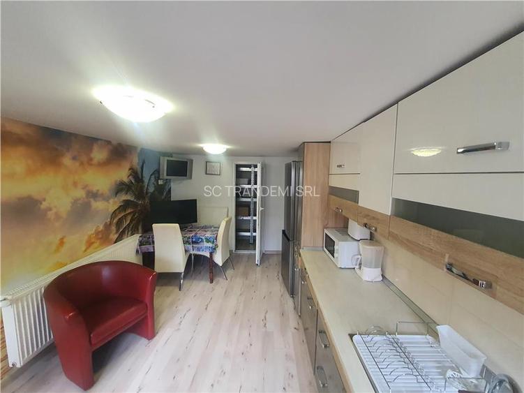 Imobil individual cu doua corpuri de cladire zona Parcului SubArini - 14