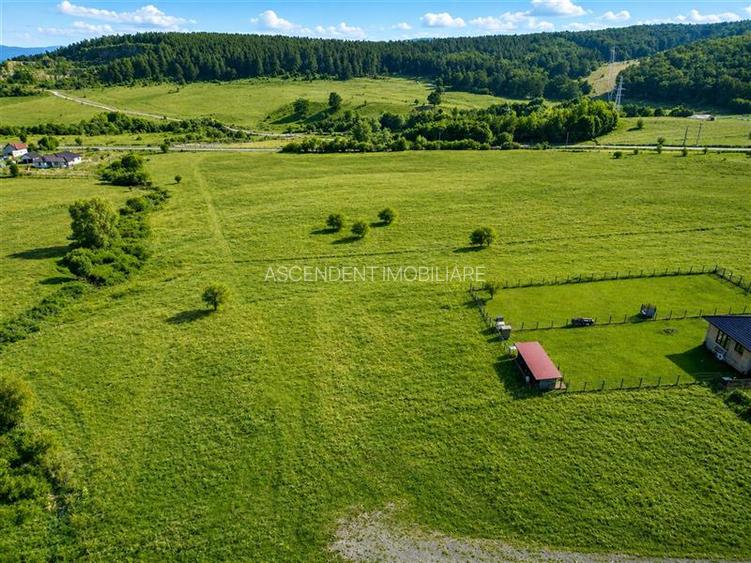 Teren intravilan cu PUZ, 500 mp, zona Belvedere, Sfantu Gheorghe - 4
