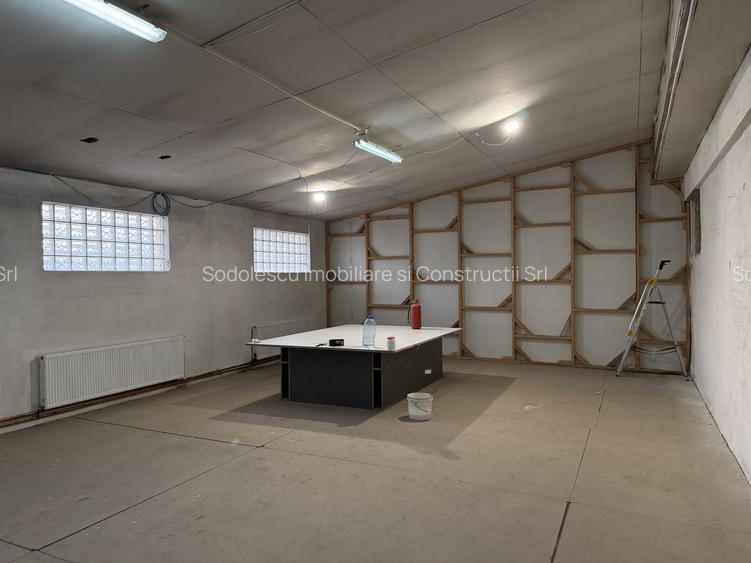 Hală industrială cu poziționare strategică în Giarmata - 10