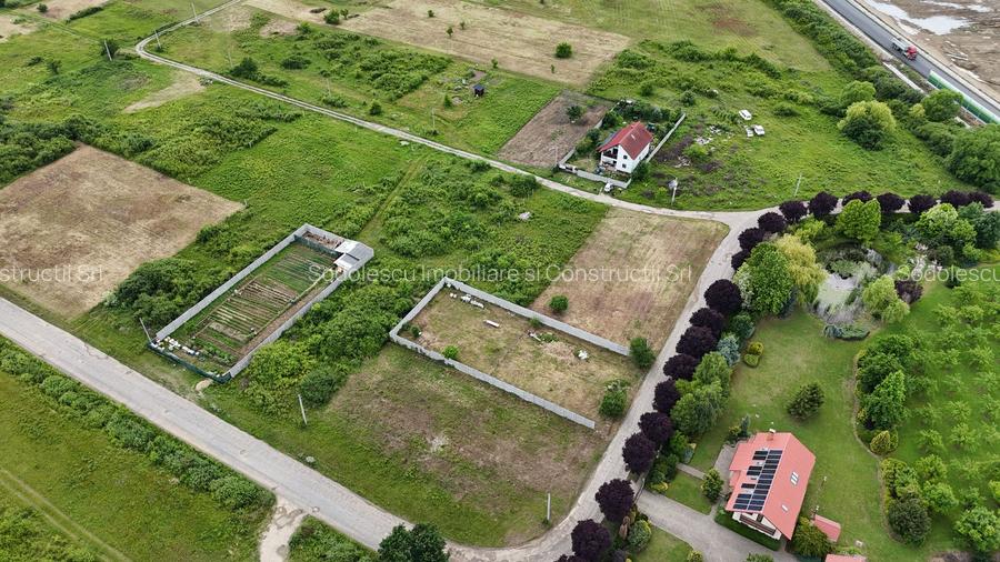 TERENURI PADUREA BISTRA - 15