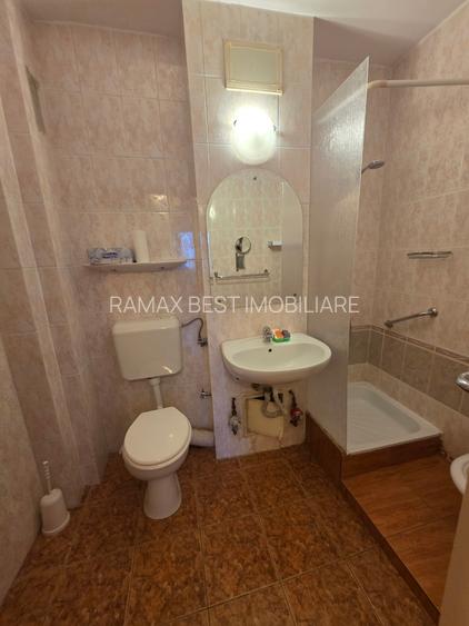 Theodor Pallady, 5 minute metrou 1 Decembrie 1918, pe strada Fetesti - 3